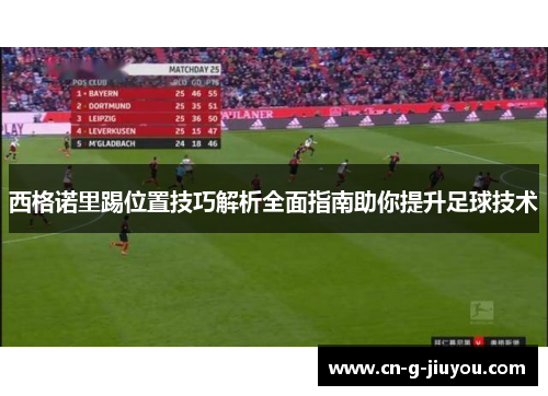 西格诺里踢位置技巧解析全面指南助你提升足球技术