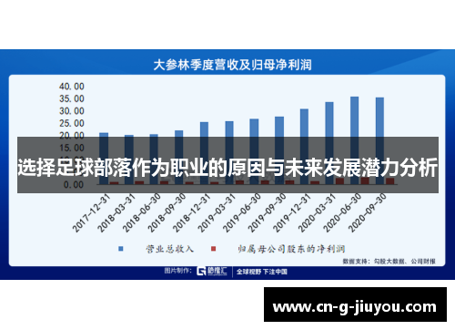 选择足球部落作为职业的原因与未来发展潜力分析