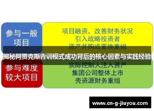 揭秘阿贾克斯青训模式成功背后的核心因素与实践经验 揭秘阿贾克斯青训模式成功背后的核心因素与实践经验
