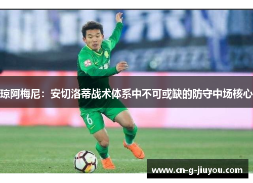琼阿梅尼:安切洛蒂战术体系中不可或缺的防守中场核心 琼阿梅尼:安切洛蒂战术体系中不可或缺的防守中场核心