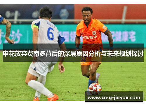 申花放弃费南多背后的深层原因分析与未来规划探讨