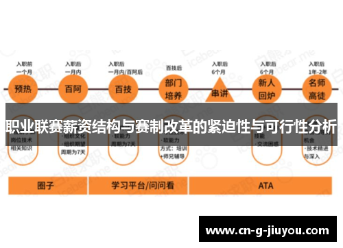 职业联赛薪资结构与赛制改革的紧迫性与可行性分析 职业联赛薪资结构与赛制改革的紧迫性与可行性分析