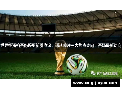 世界杯资格赛伤停更新引热议，球迷关注三大焦点走向，赛场最新动向
