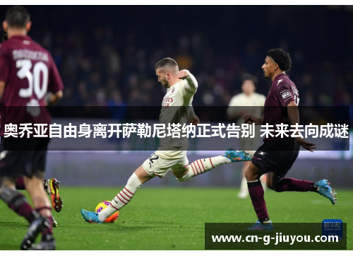 奥乔亚自由身离开萨勒尼塔纳正式告别 未来去向成谜 奥乔亚自由身离开萨勒尼塔纳正式告别 未来去向成谜