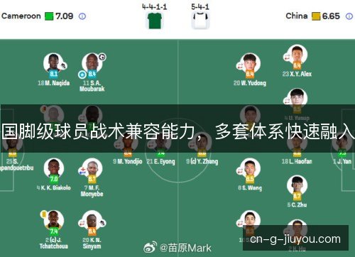 国脚级球员战术兼容能力,多套体系快速融入 国脚级球员战术兼容能力,多套体系快速融入